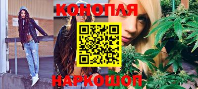 прущие грибы Чапаевск