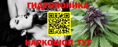 прущие грибы Чапаевск