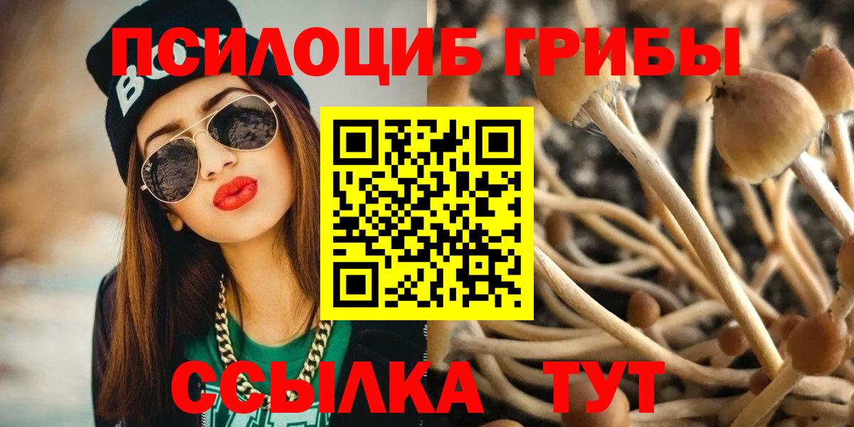 Галлюциногенные грибы MAGIC MUSHROOMS Новошахтинск