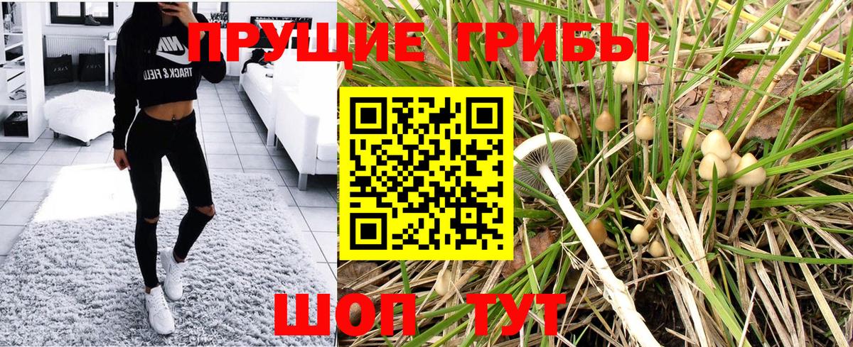 Галлюциногенные грибы Psilocybine cubensis  Вход с VPN  Галлюциногенные грибы прущие грибы  магазин    Новошахтинск 